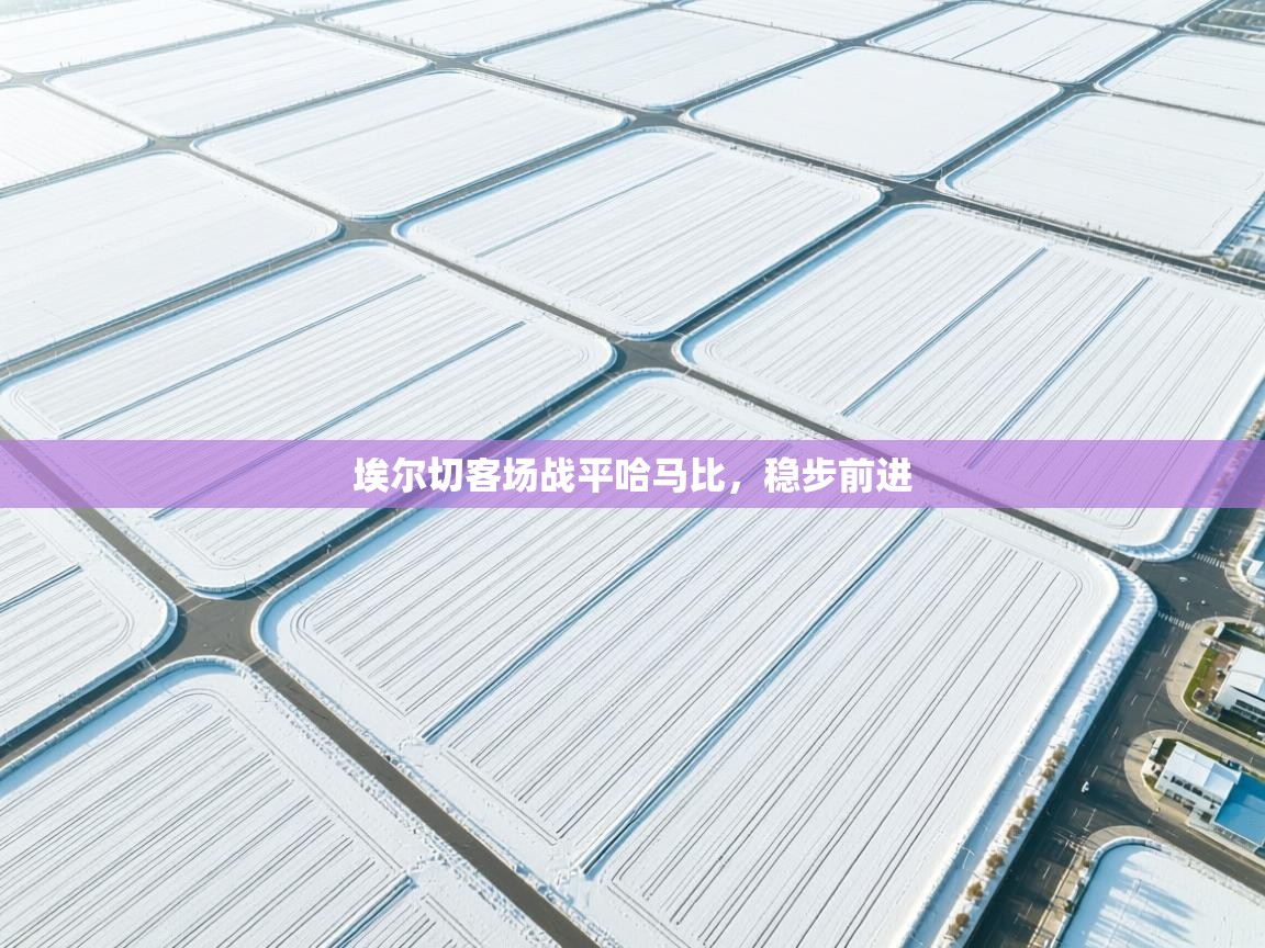 埃尔切客场战平哈马比，稳步前进  第2张