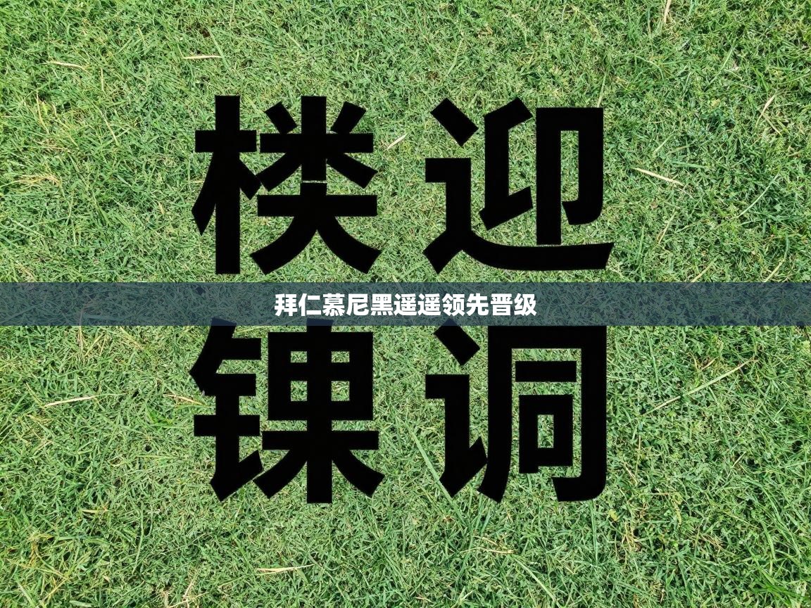 拜仁慕尼黑遥遥领先晋级  第1张