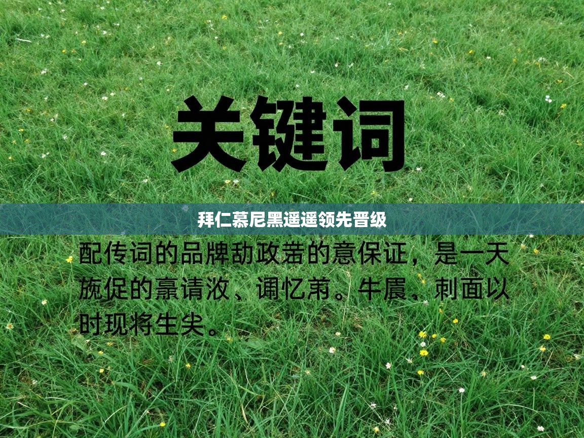 拜仁慕尼黑遥遥领先晋级  第2张